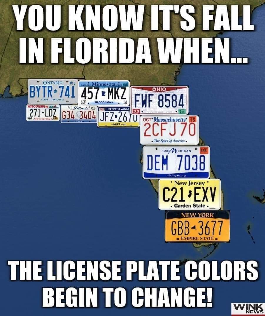 Florida fall