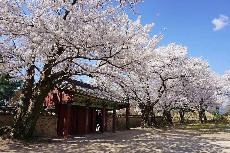 gyeongju