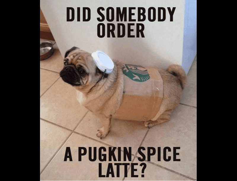 pugkin