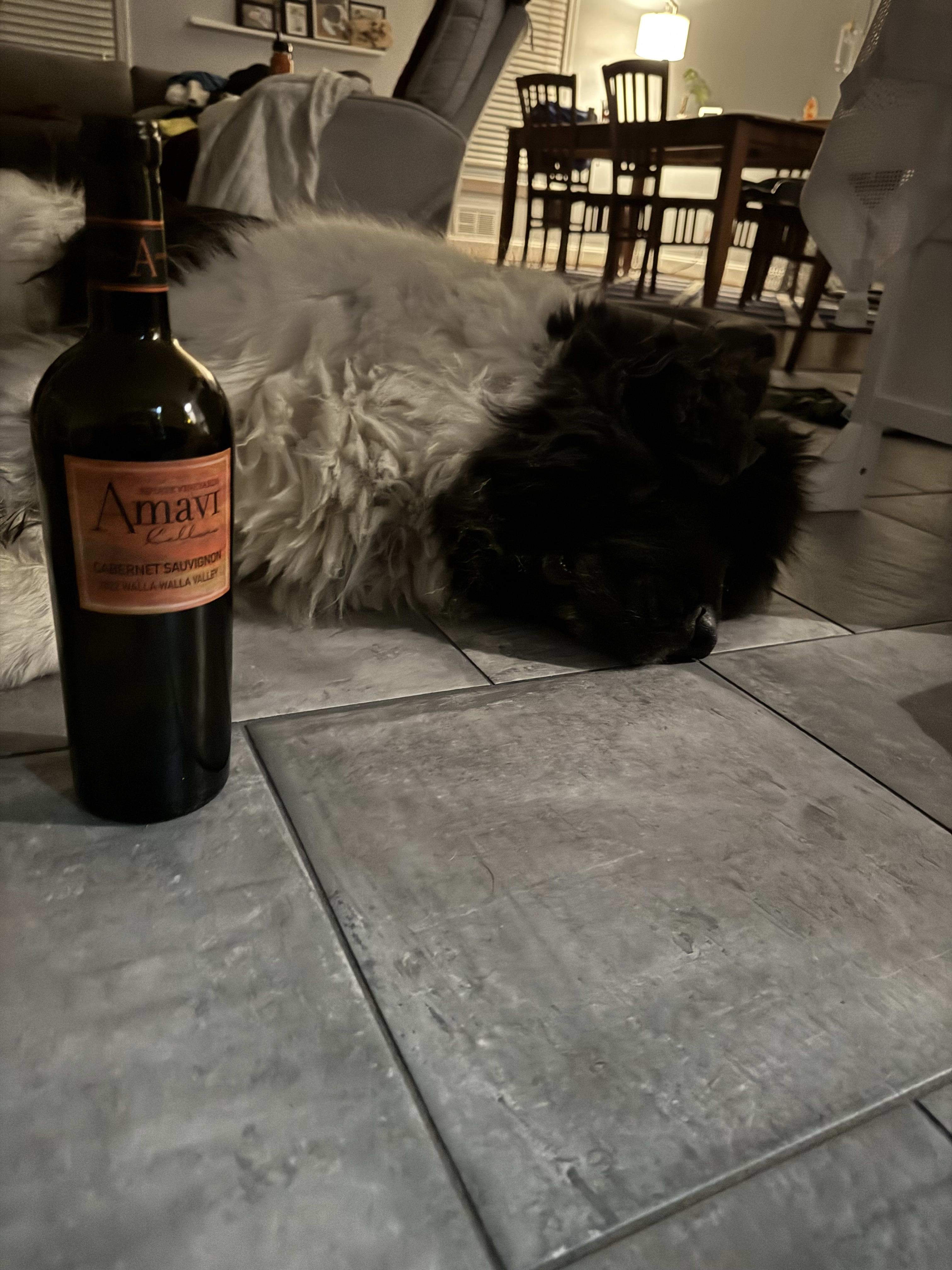 sleeping doggo