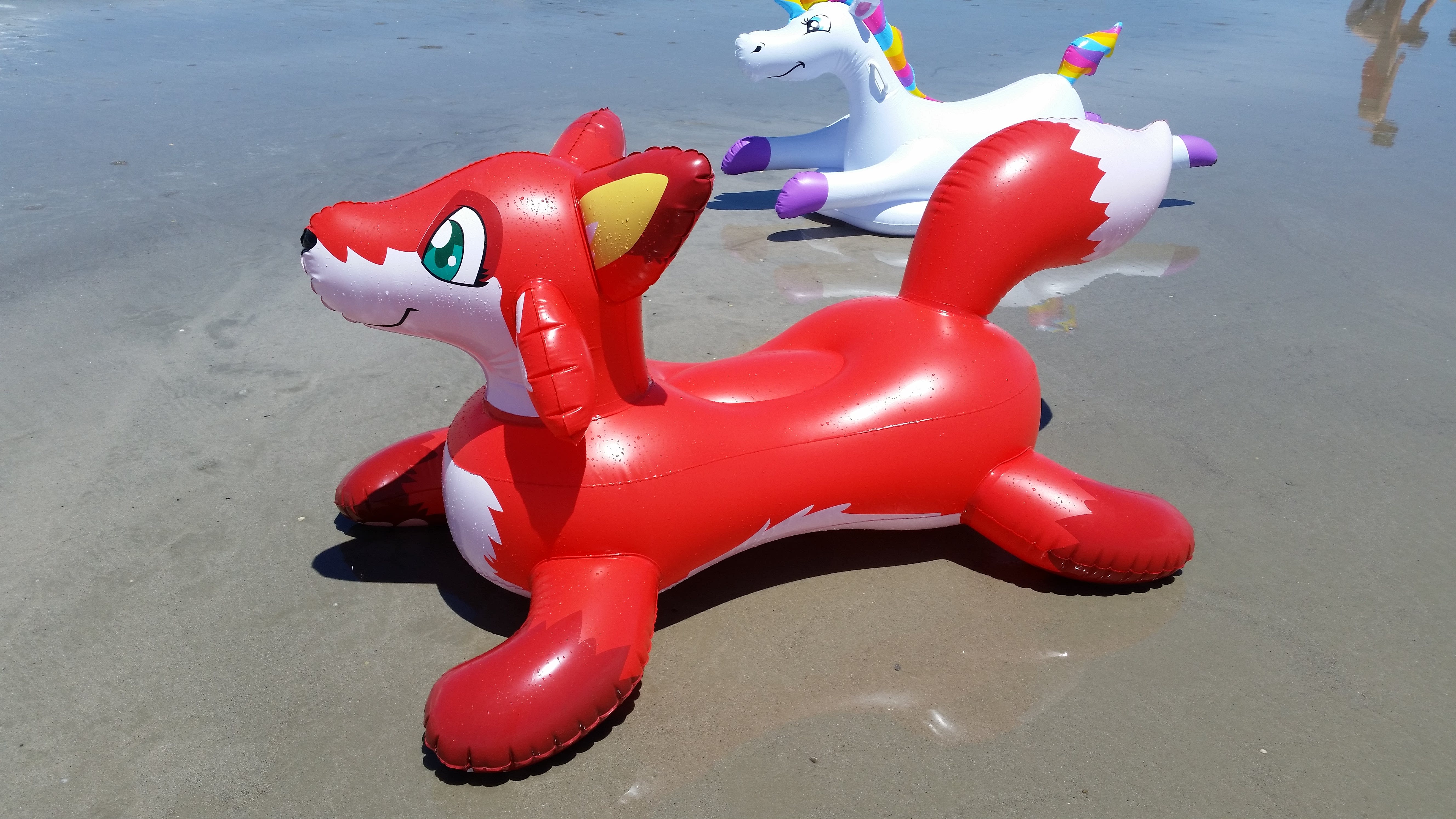 At Cocoa Beach, with a unicorn