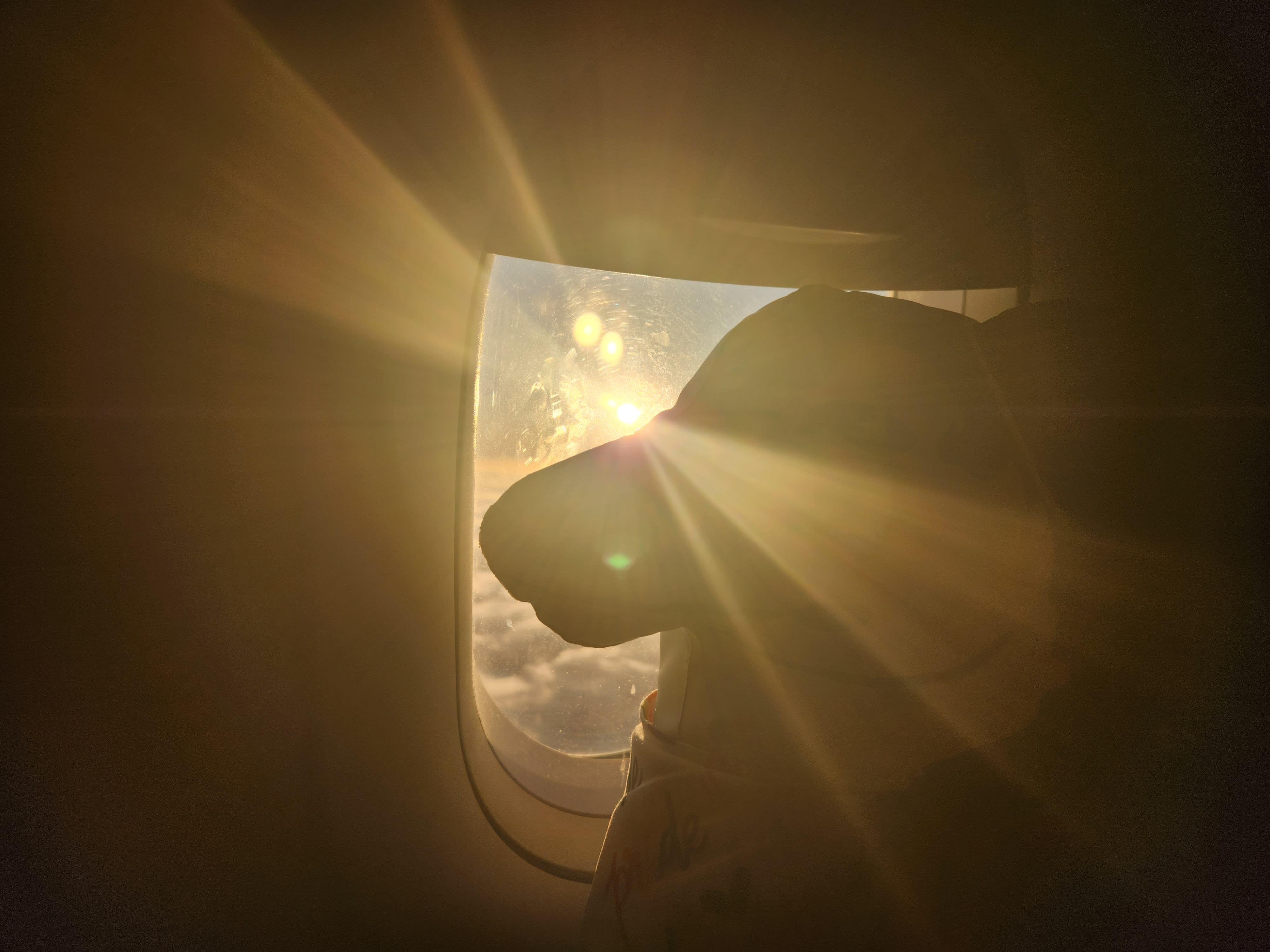 Lucky in the morning sun on a recent flight