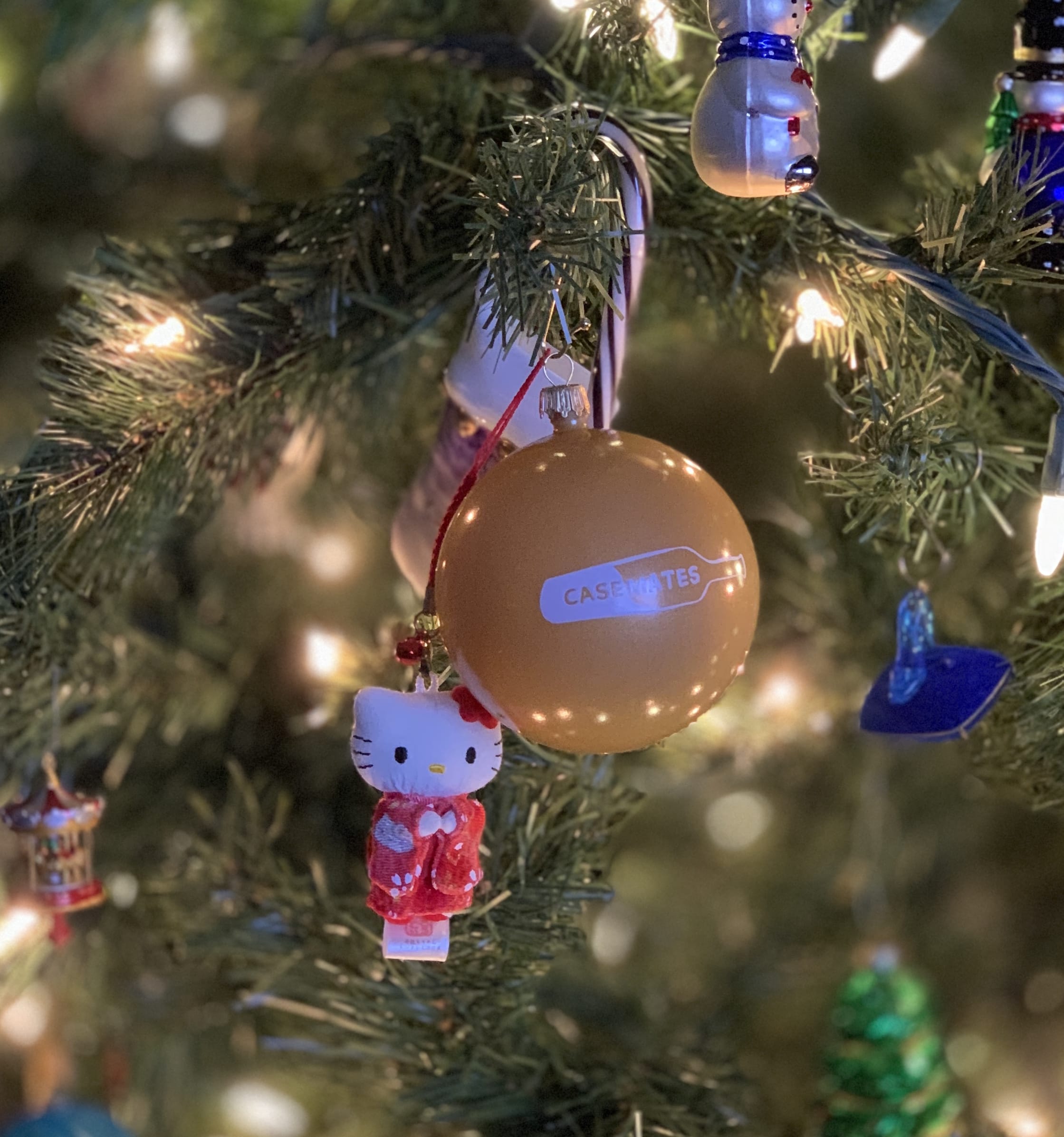 Casemates_Ornament