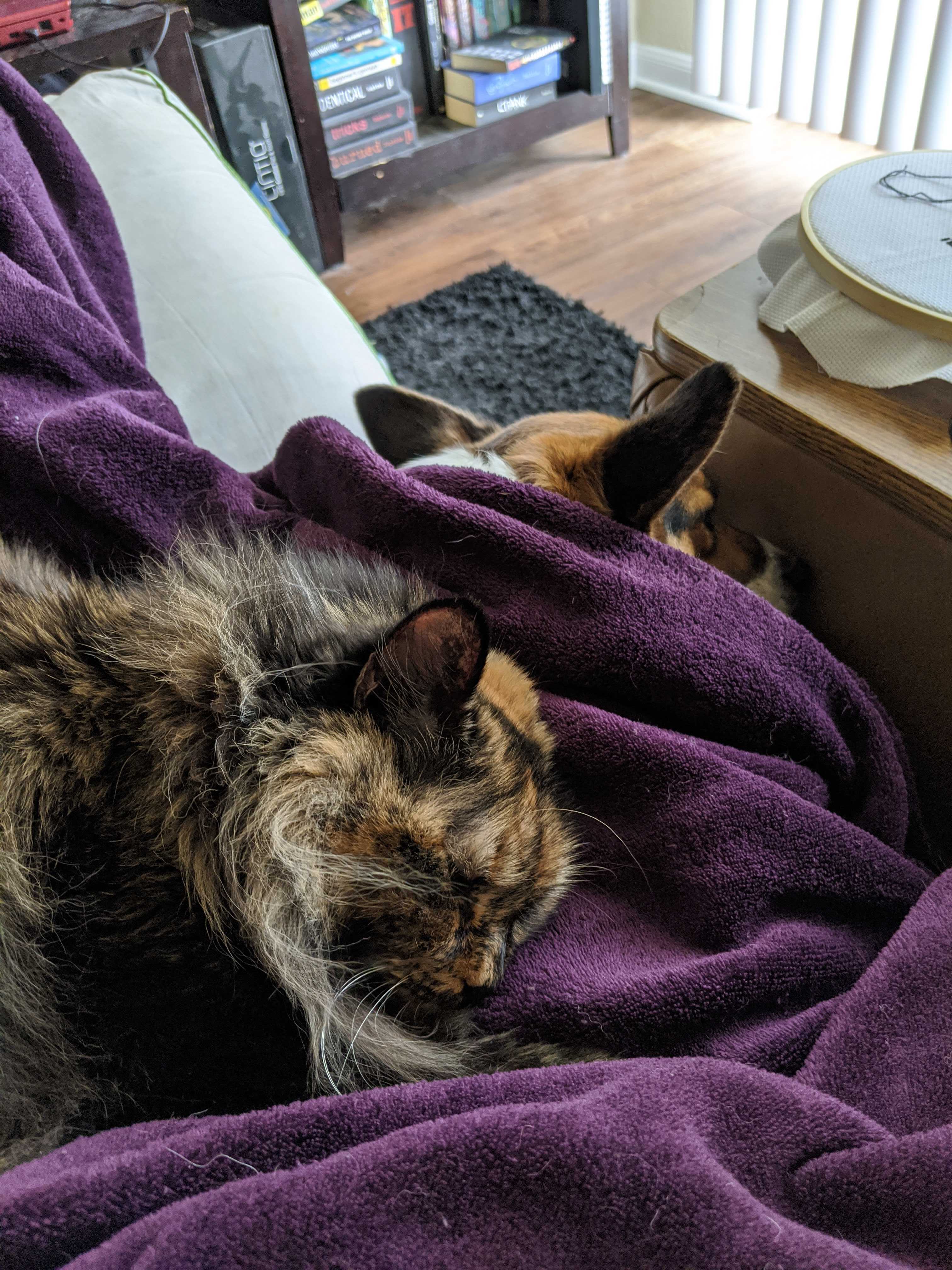 Leia and Greta
