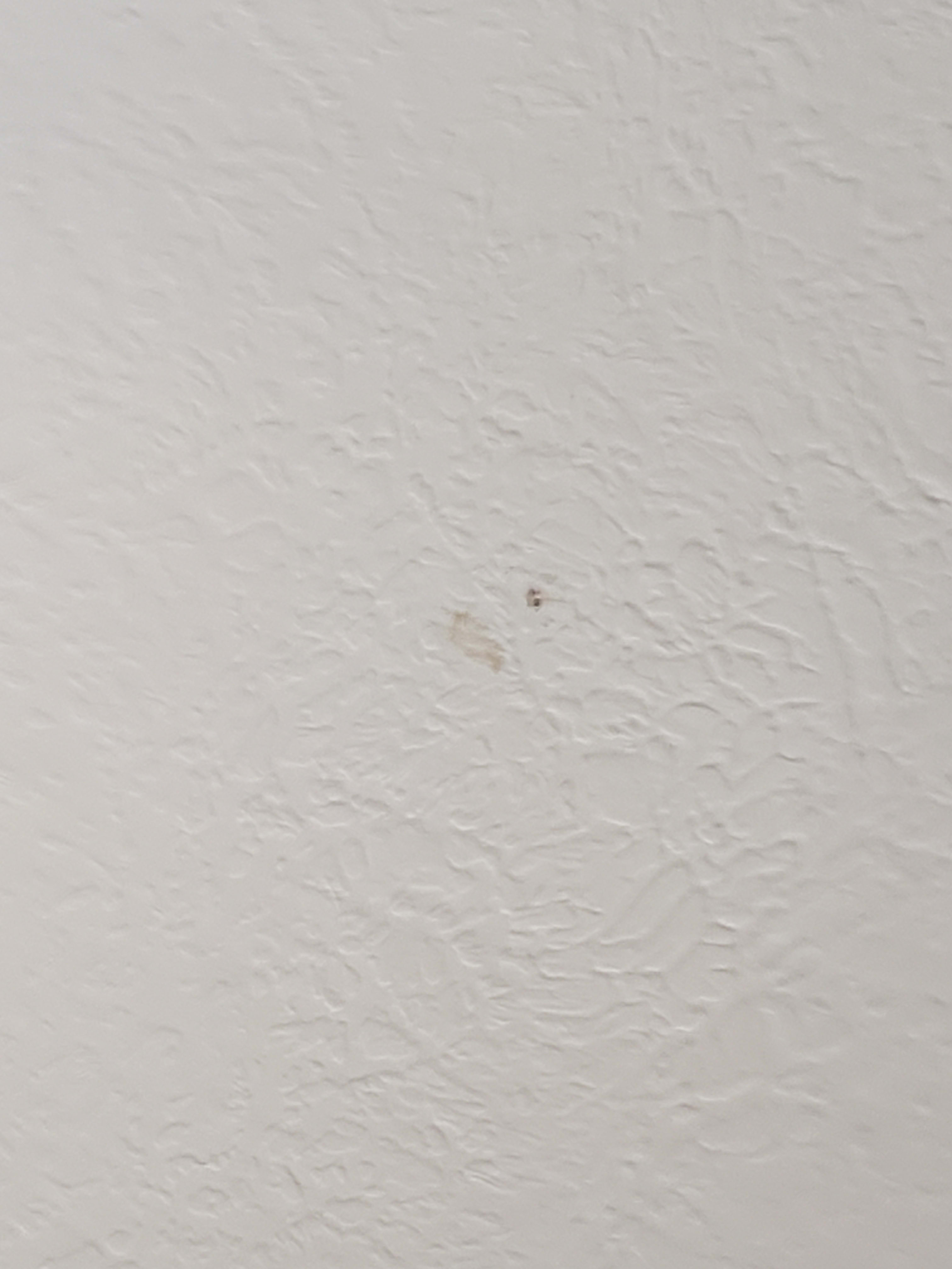 ceiling