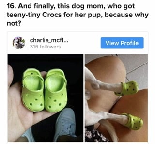 crocs