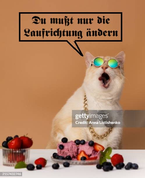 the actual quote
