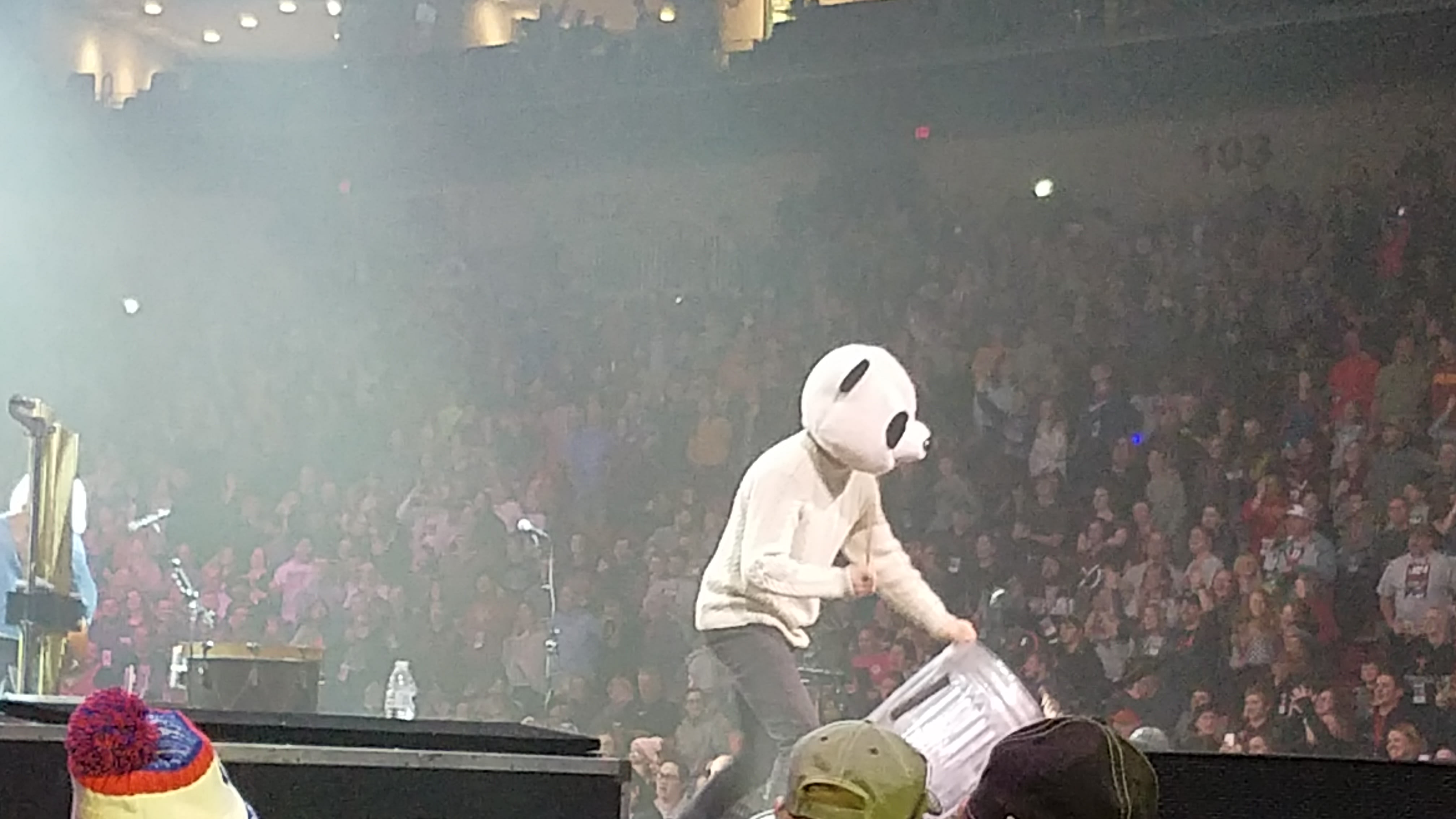 panda?