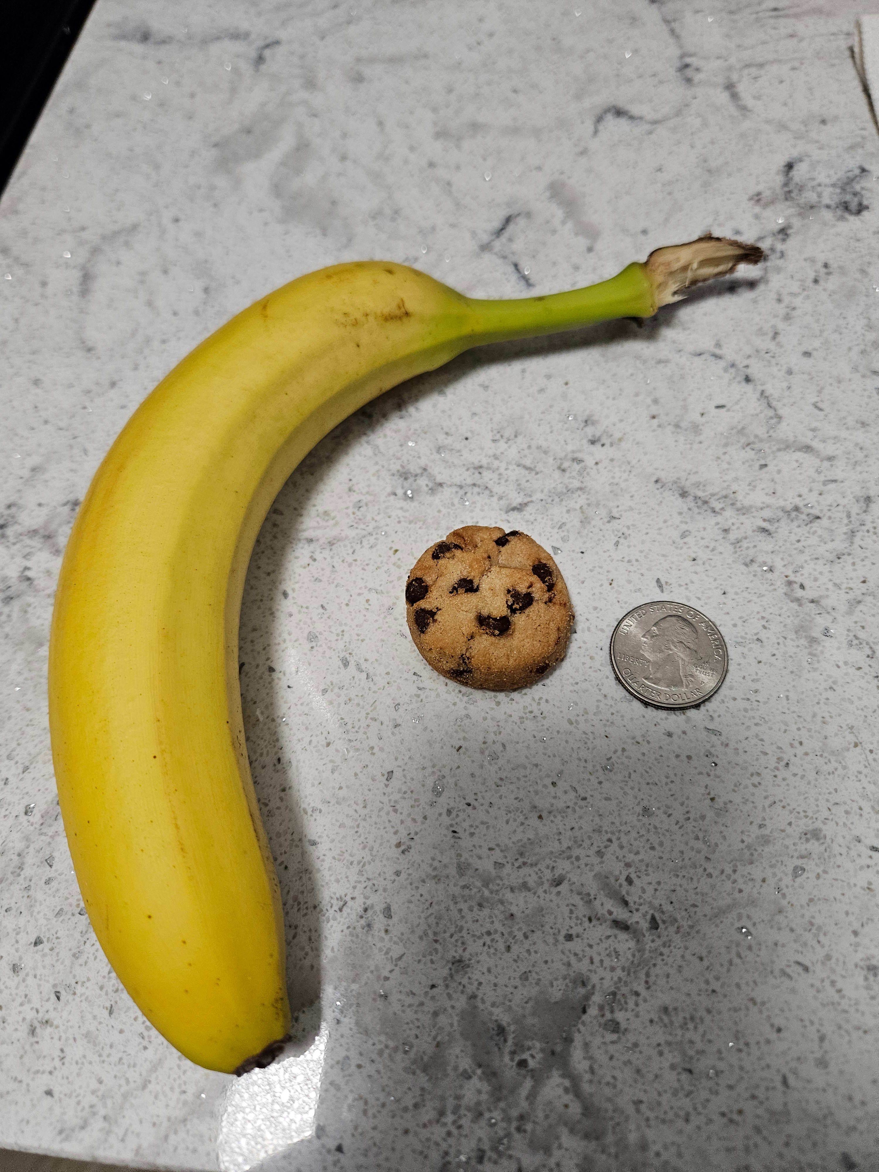 cookie