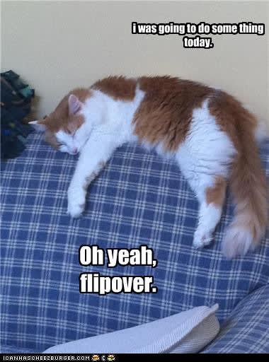 lazy