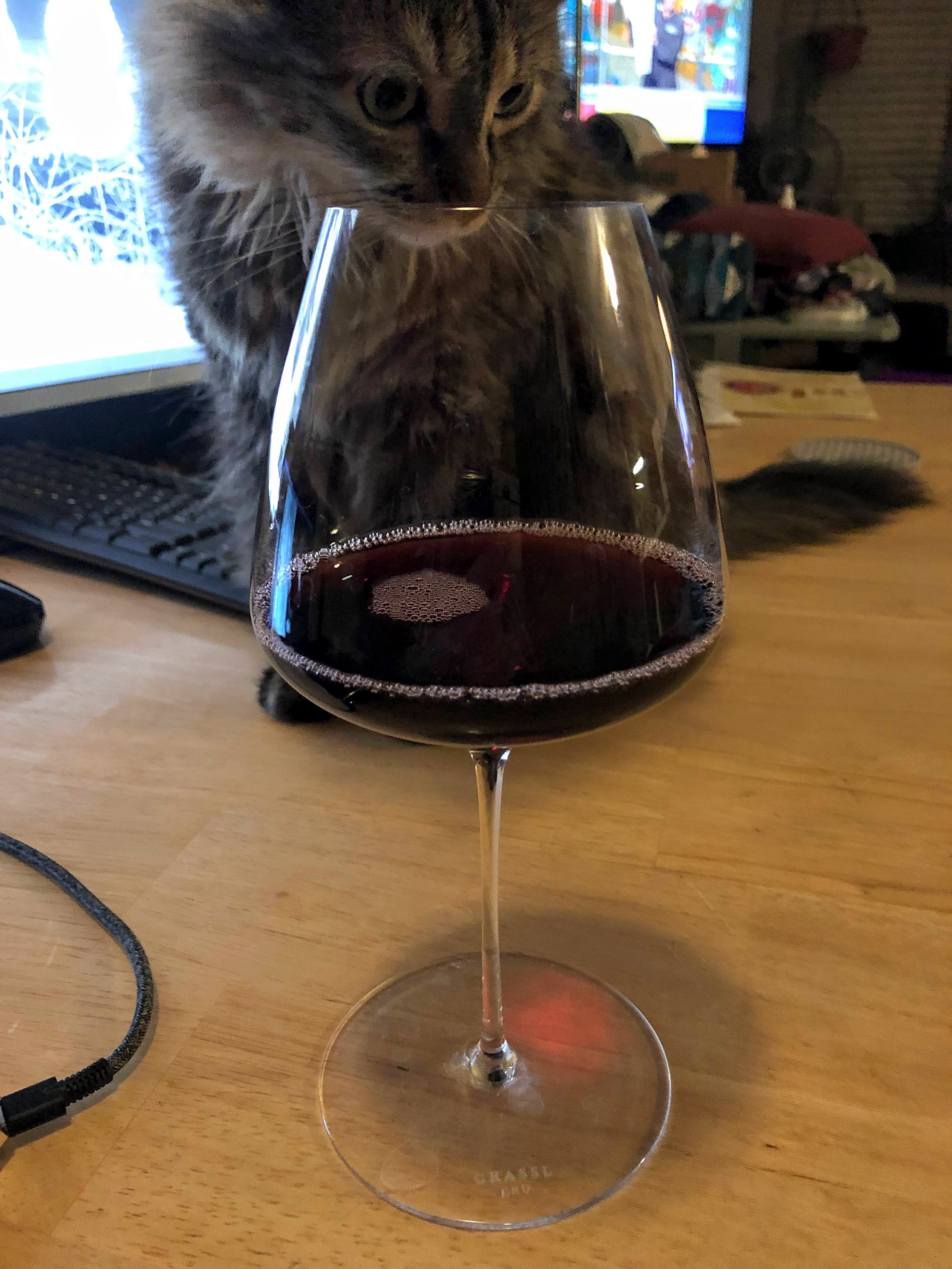 and so does the cat