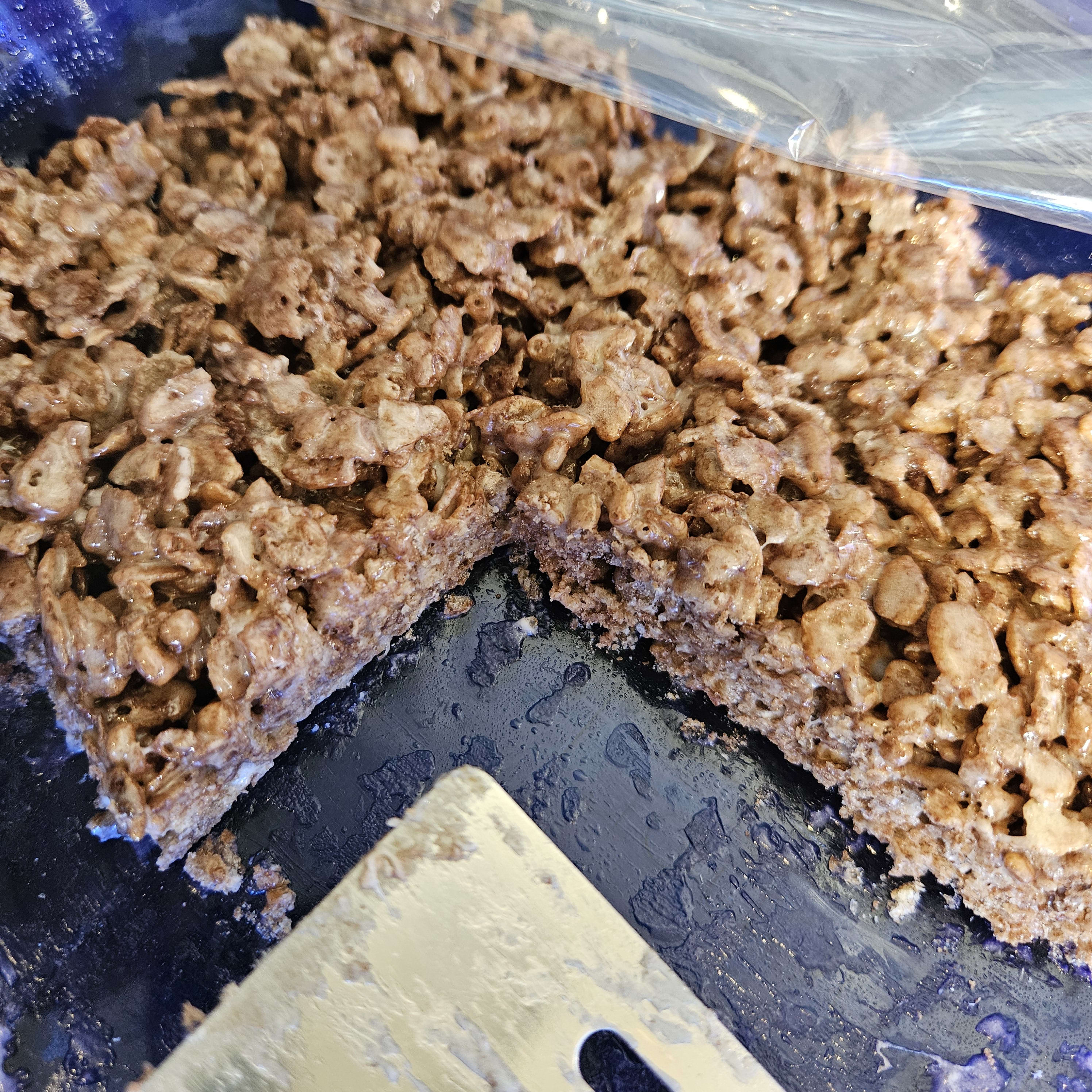 cocoa krispies