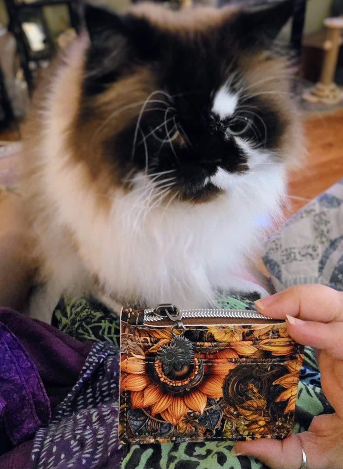  😻