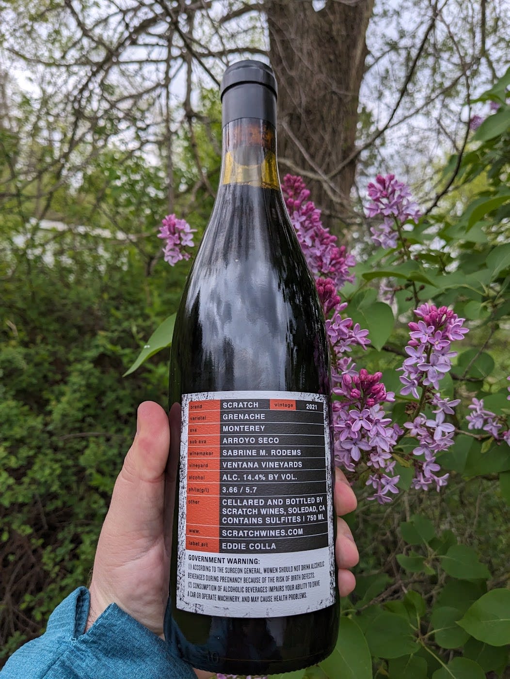 Bottle Rear