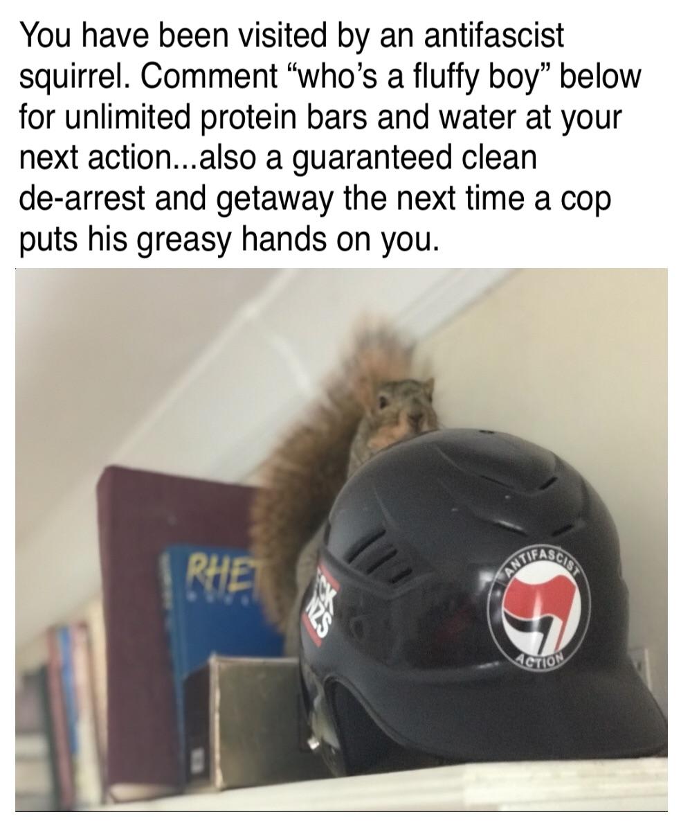 freedom!