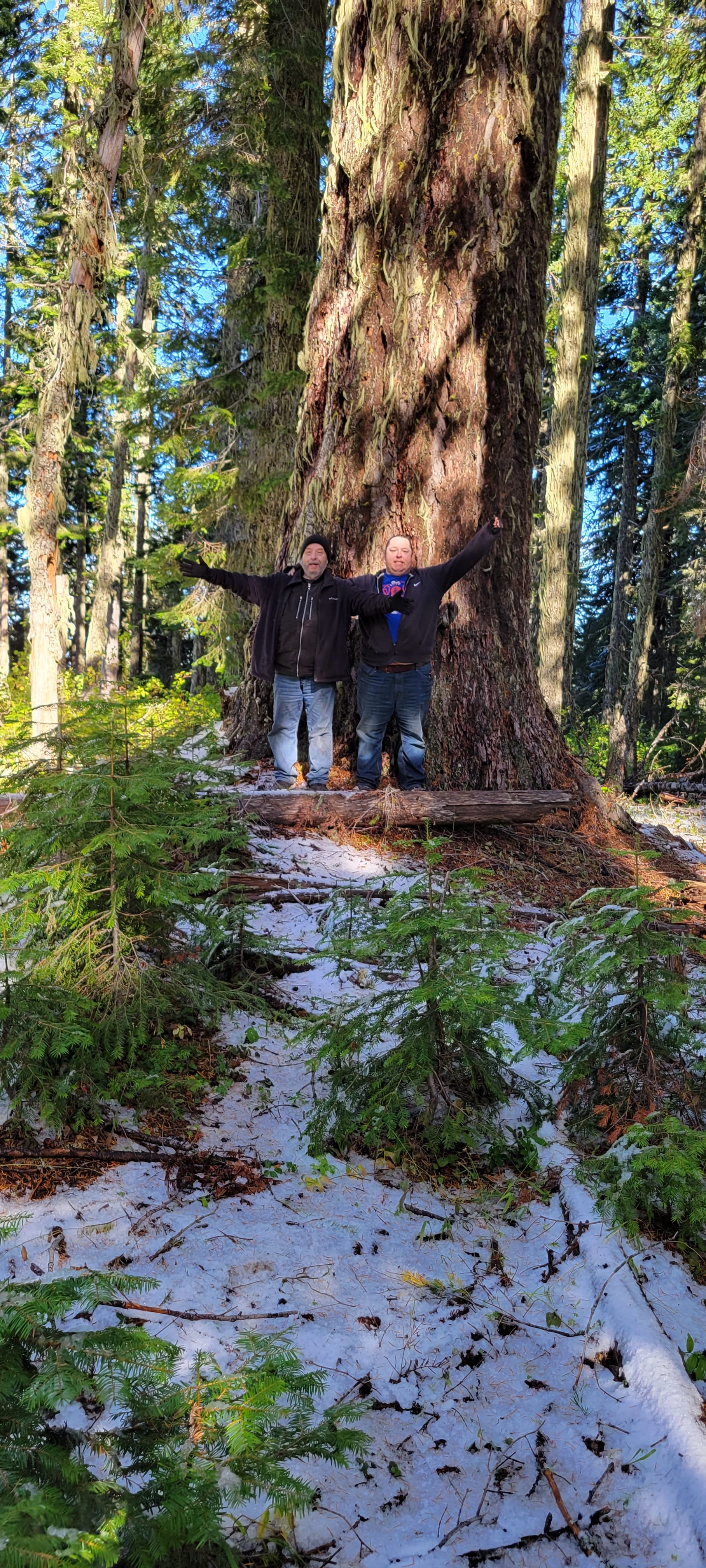 Big Fir!