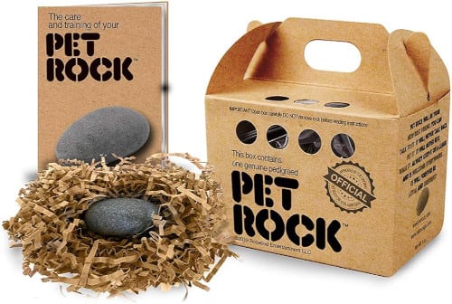 pet rock