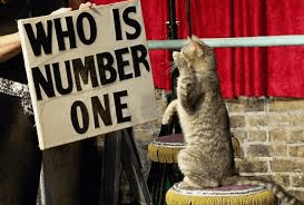 who is number one?