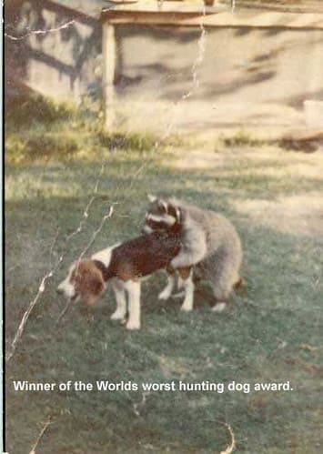 Worst coon dog ever