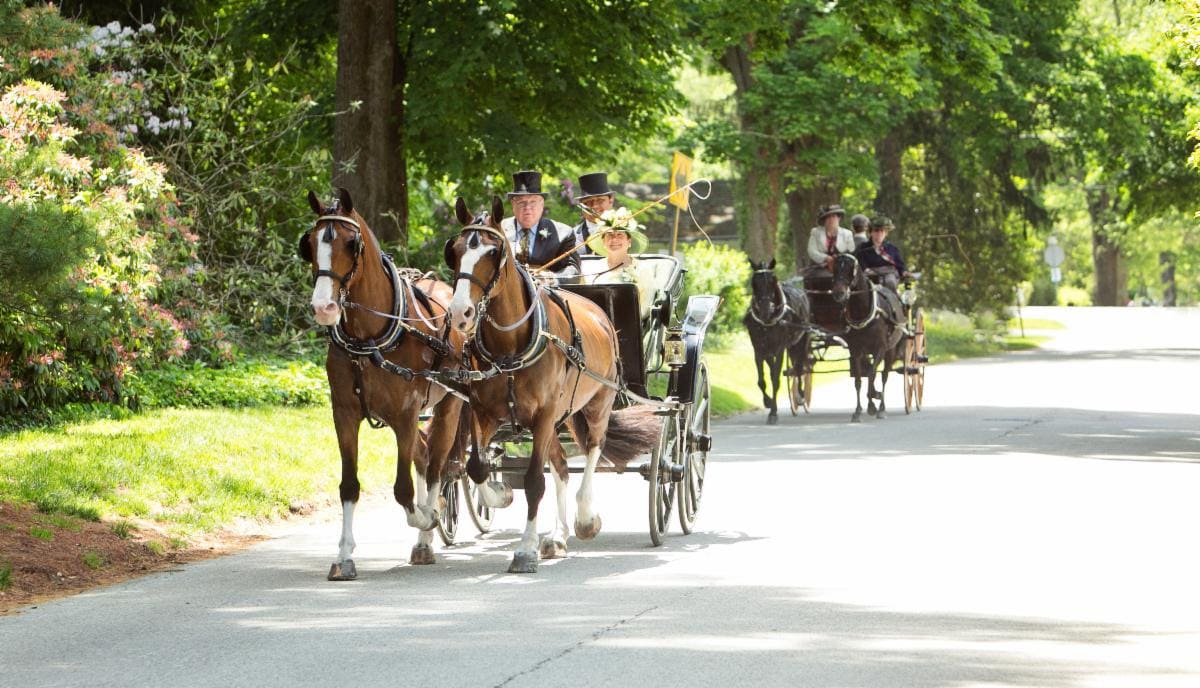 Carriage Show