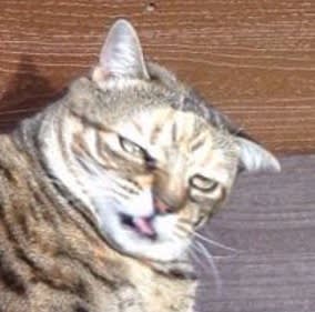Whuuu?