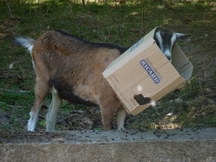 What's in the box?!?