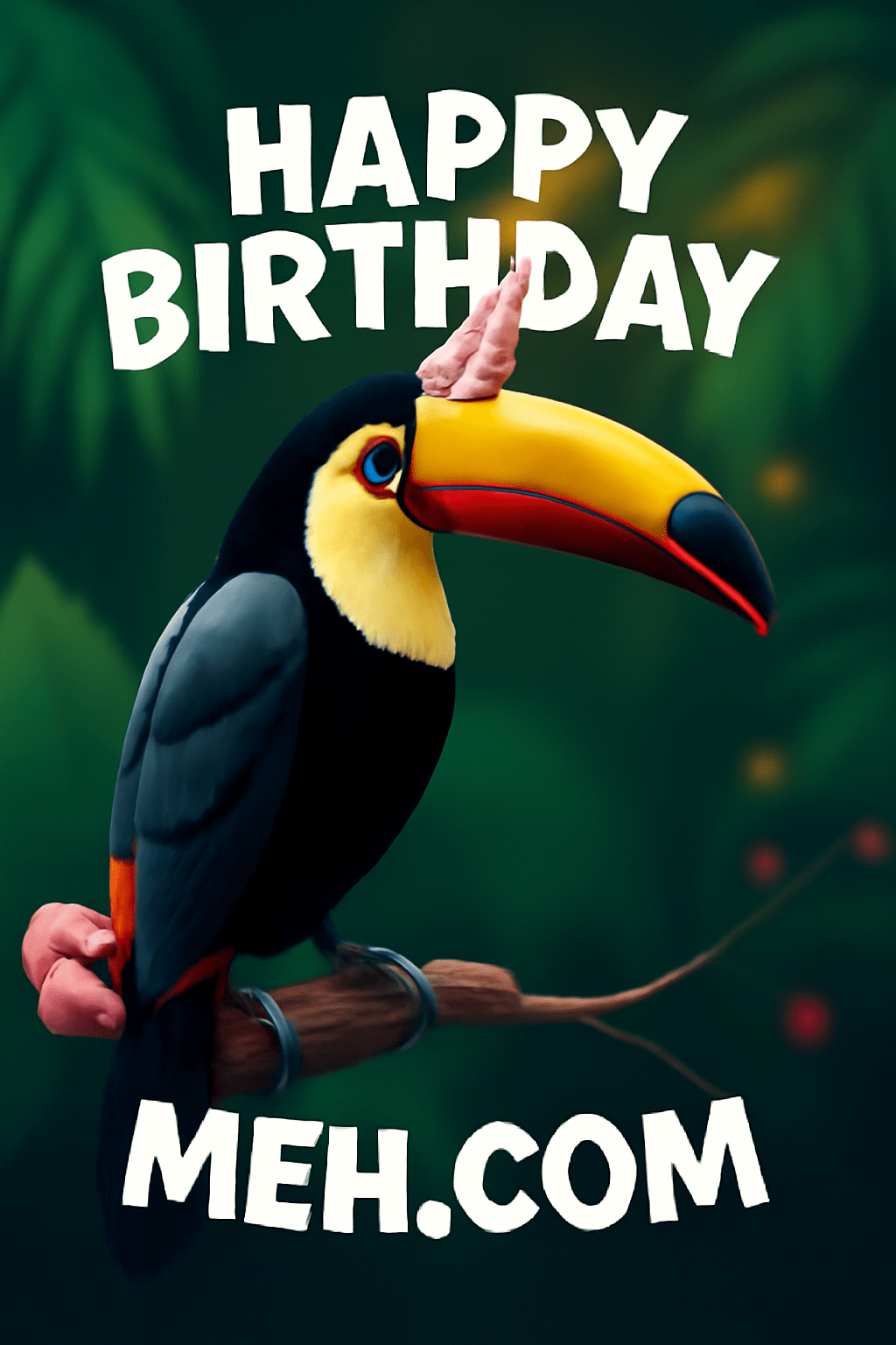 Toucan