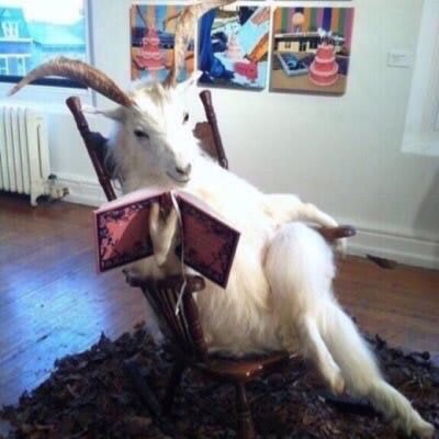 Goat