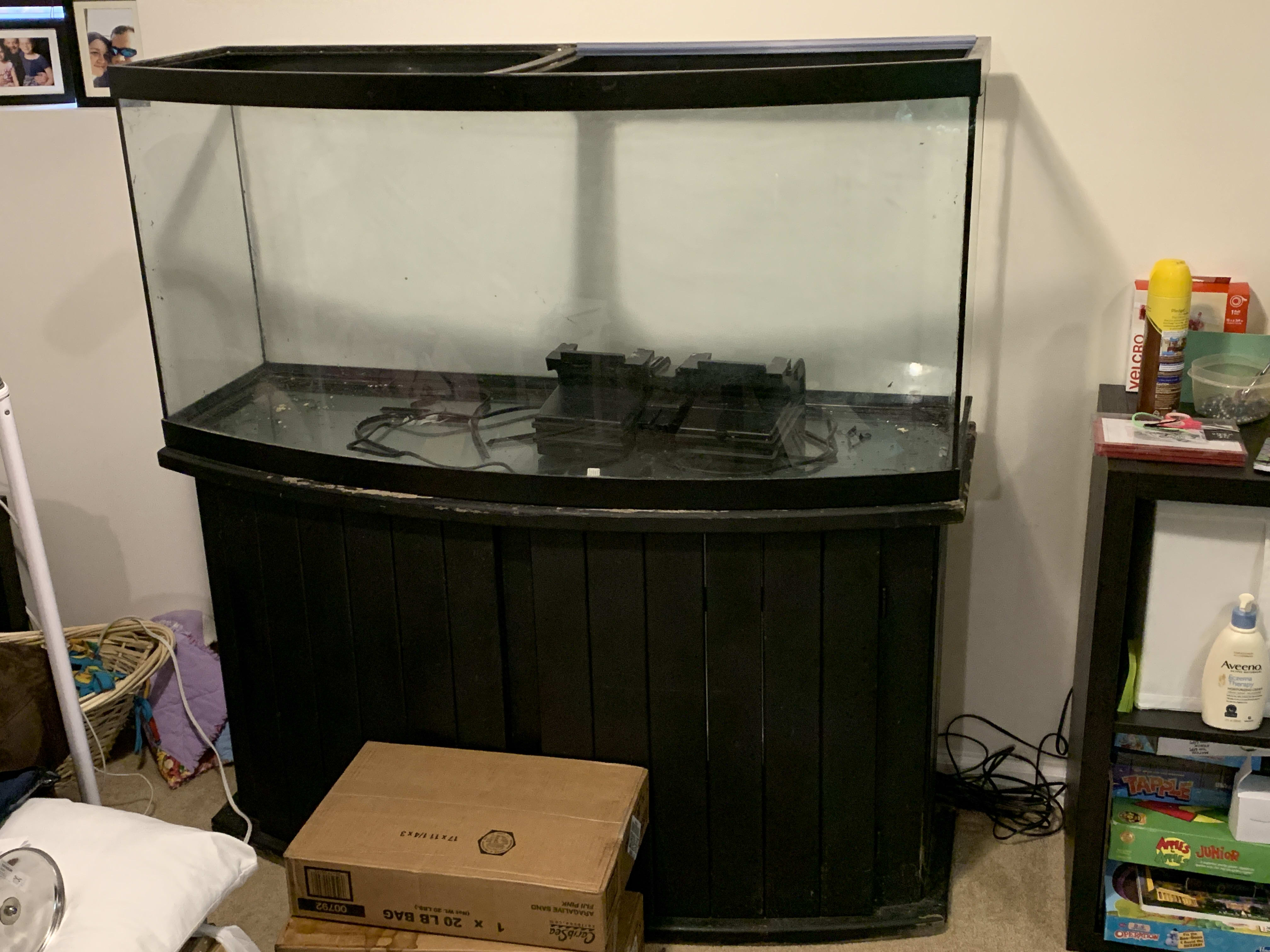 Fish Tank