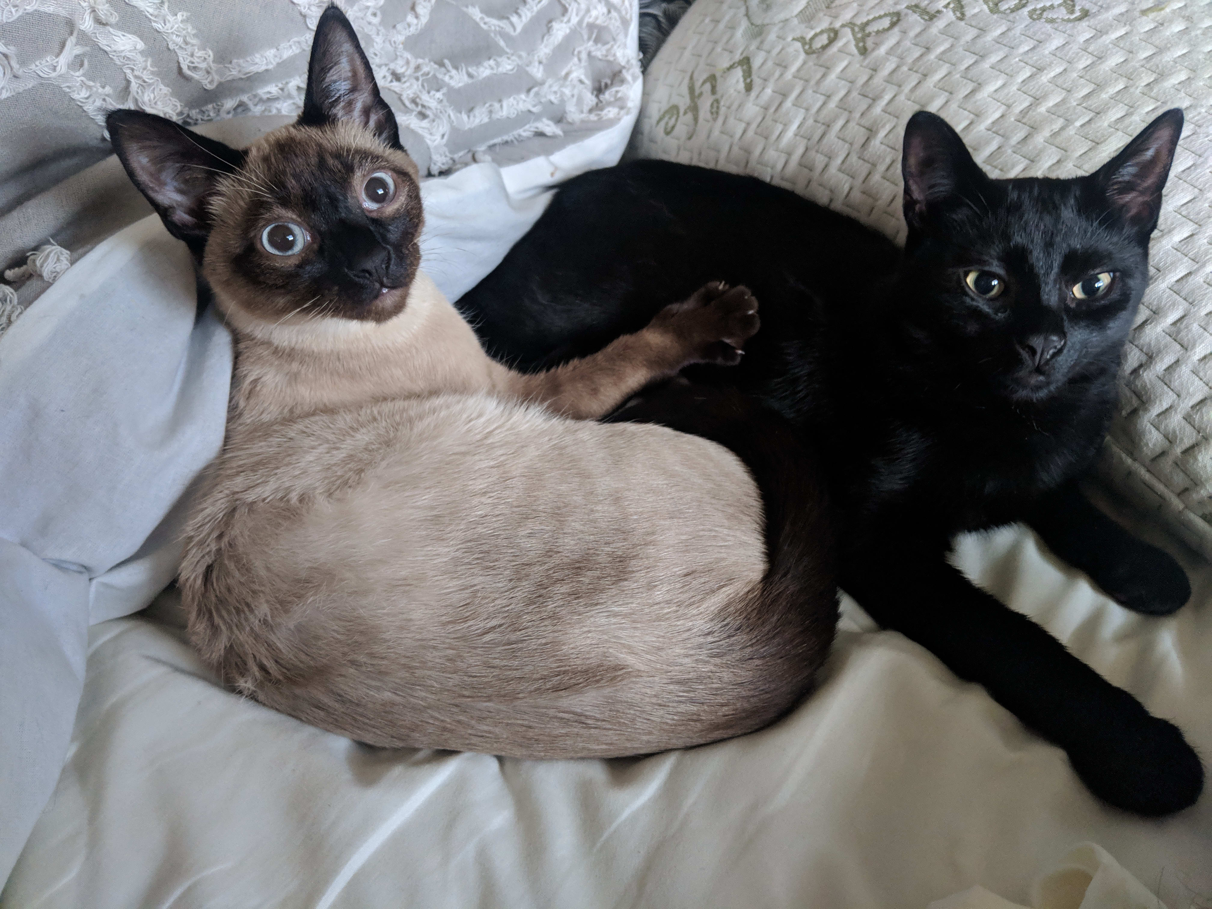 Together!