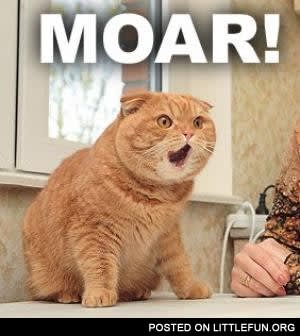 Maor!