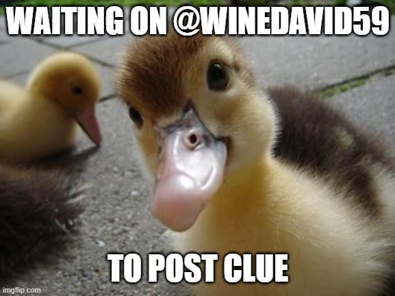 clue 02132026