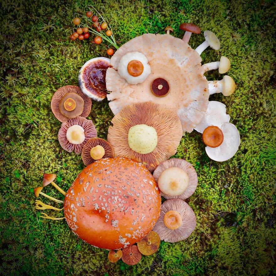Extra Mushroom