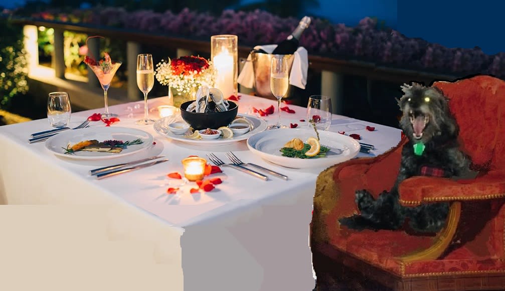 dinner