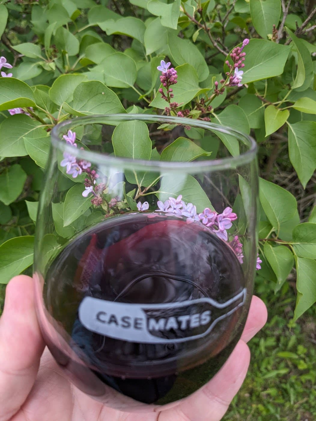 Wine in the glass