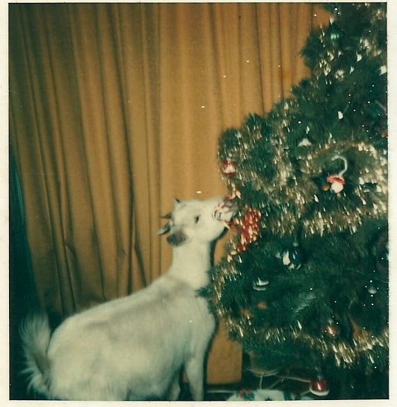 ChristmasEve