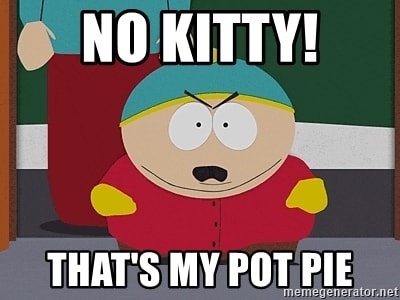 no kitty