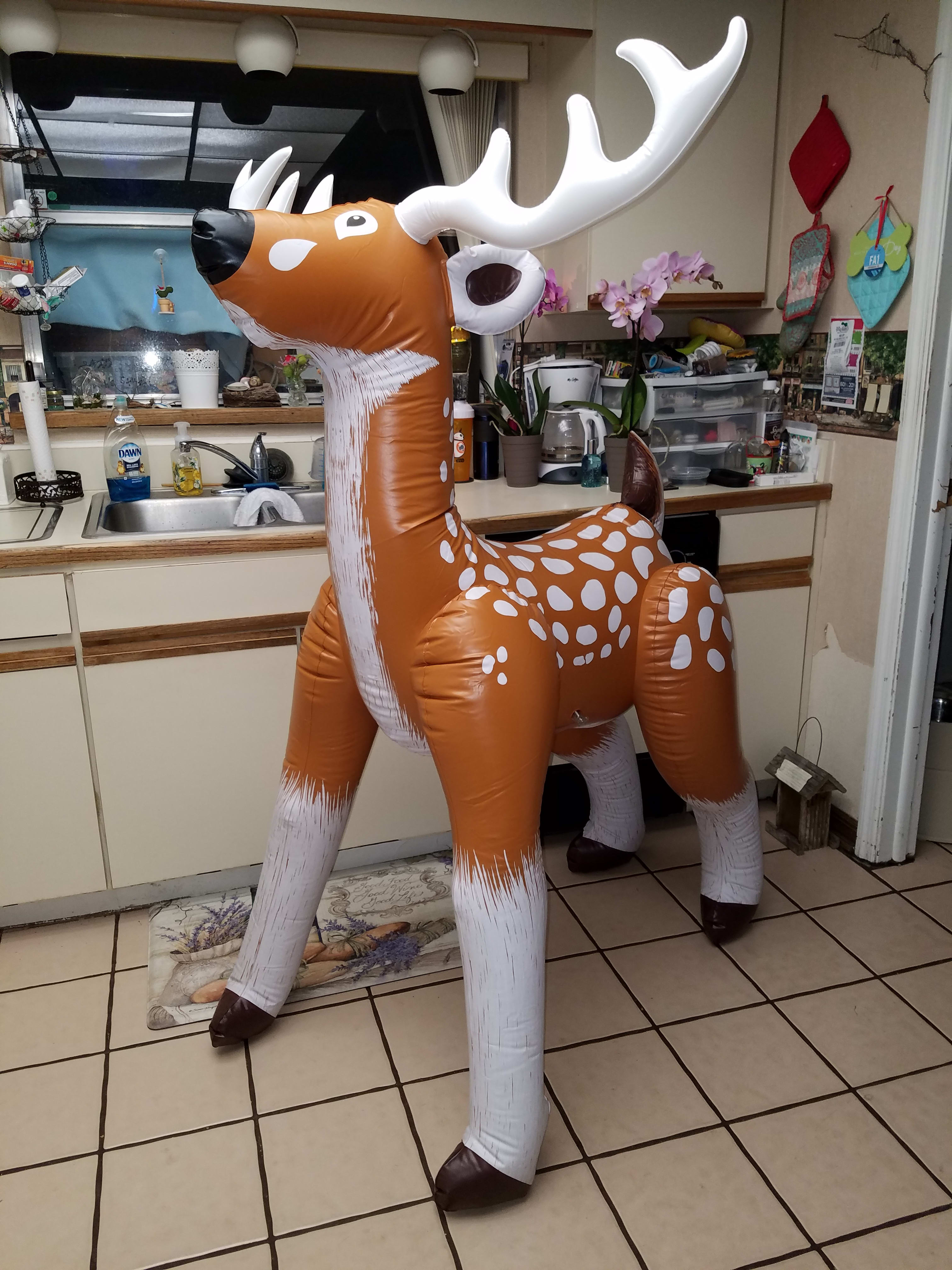 In the kitchen!