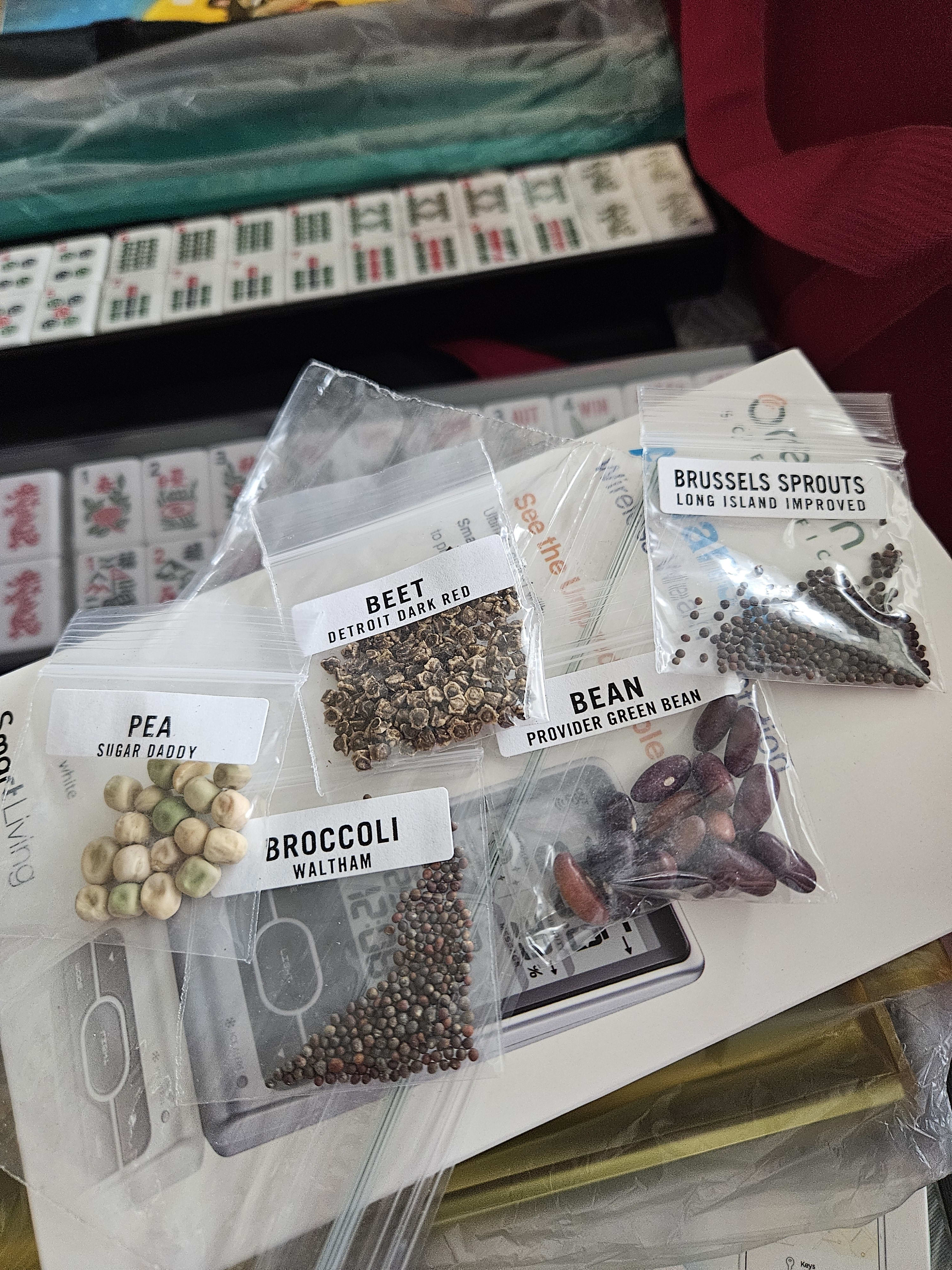 seeds