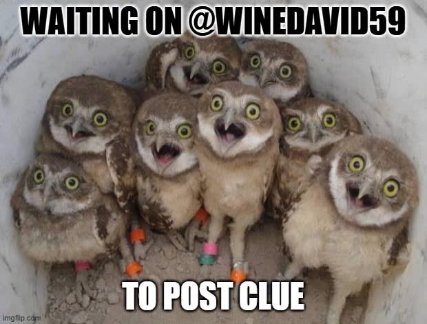 clue 01012026