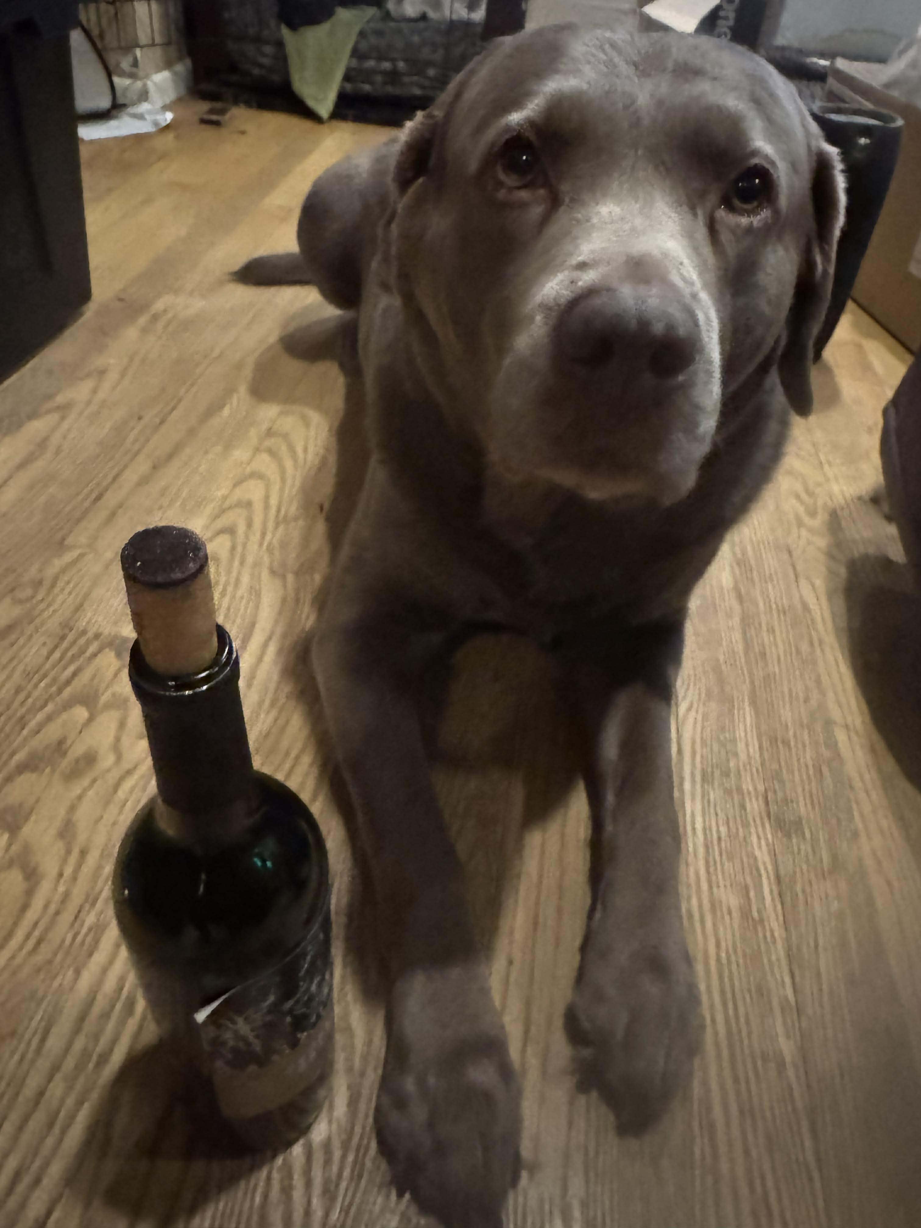 RuffCork