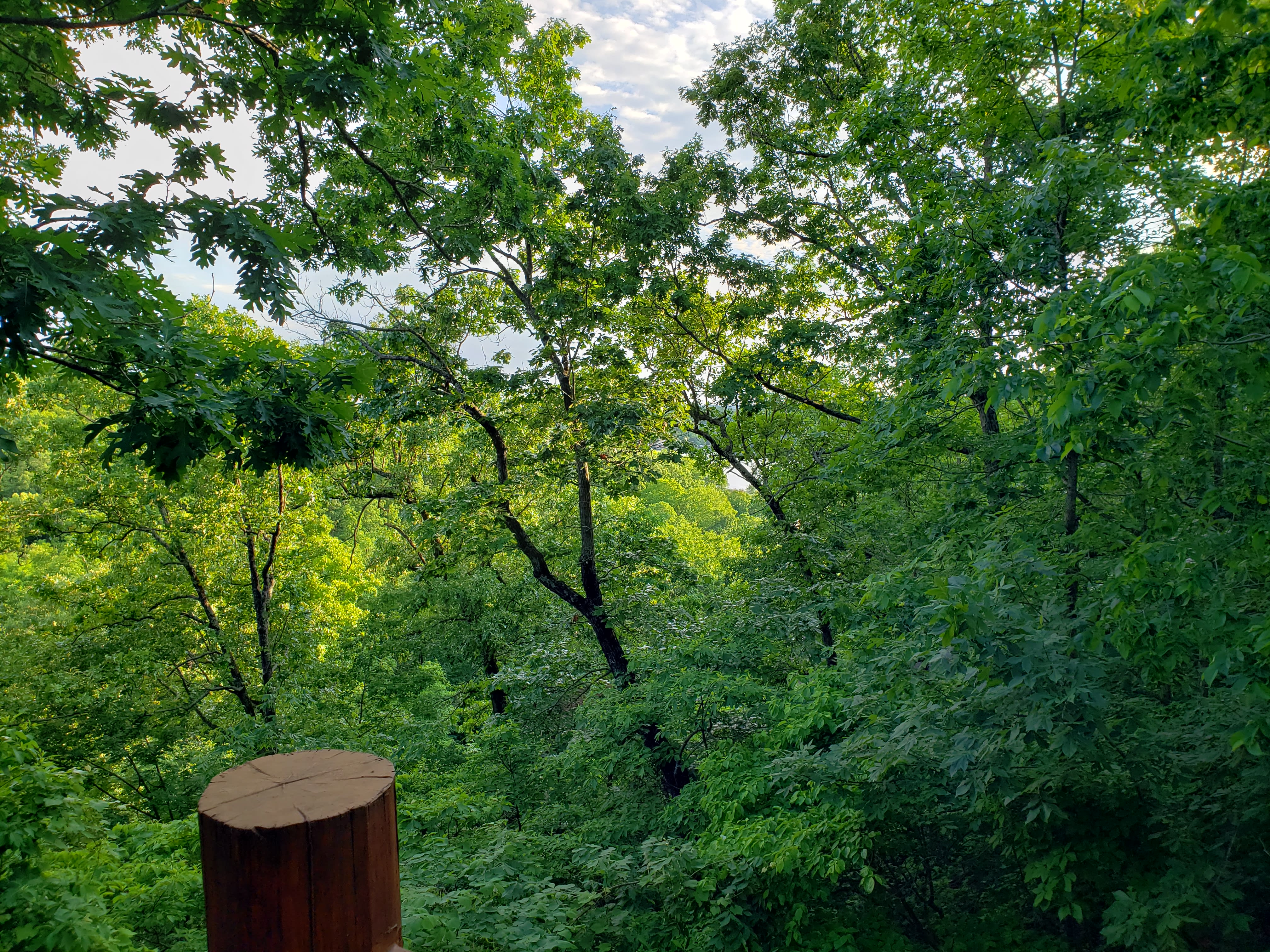 View