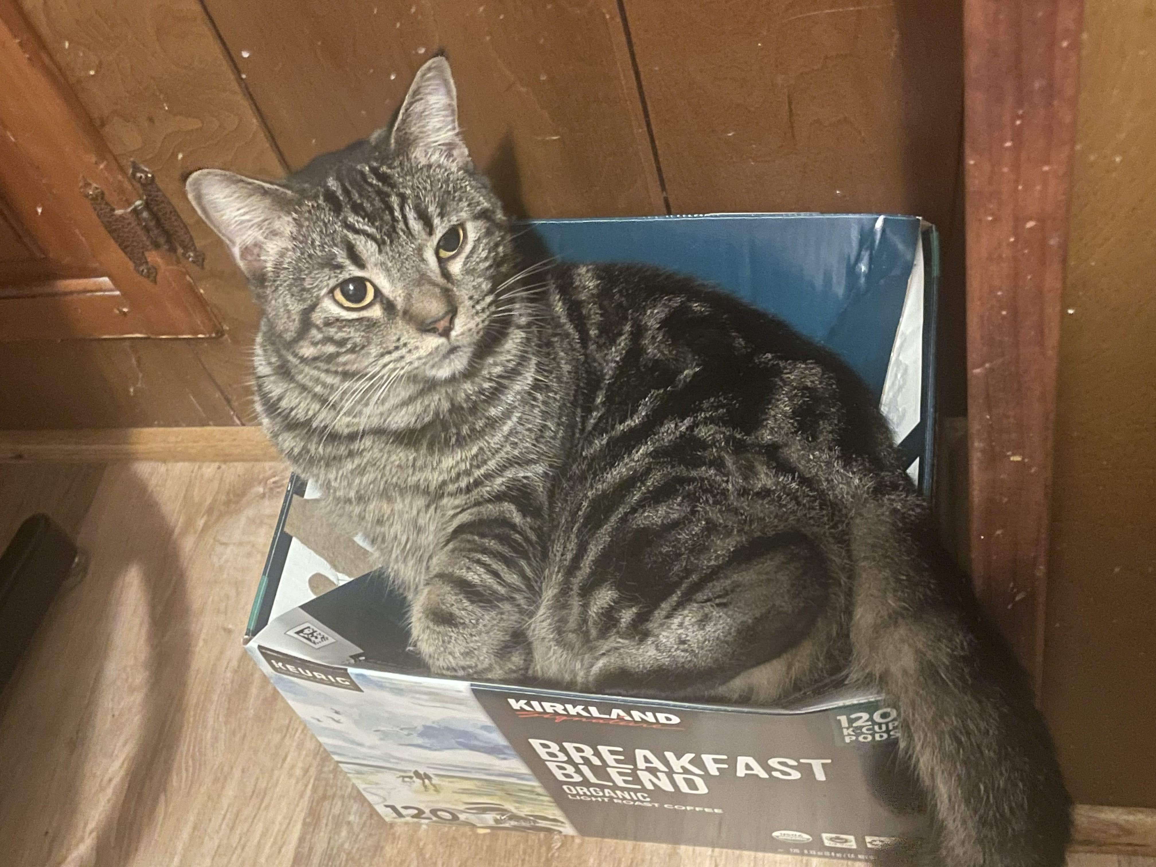 this is Thor