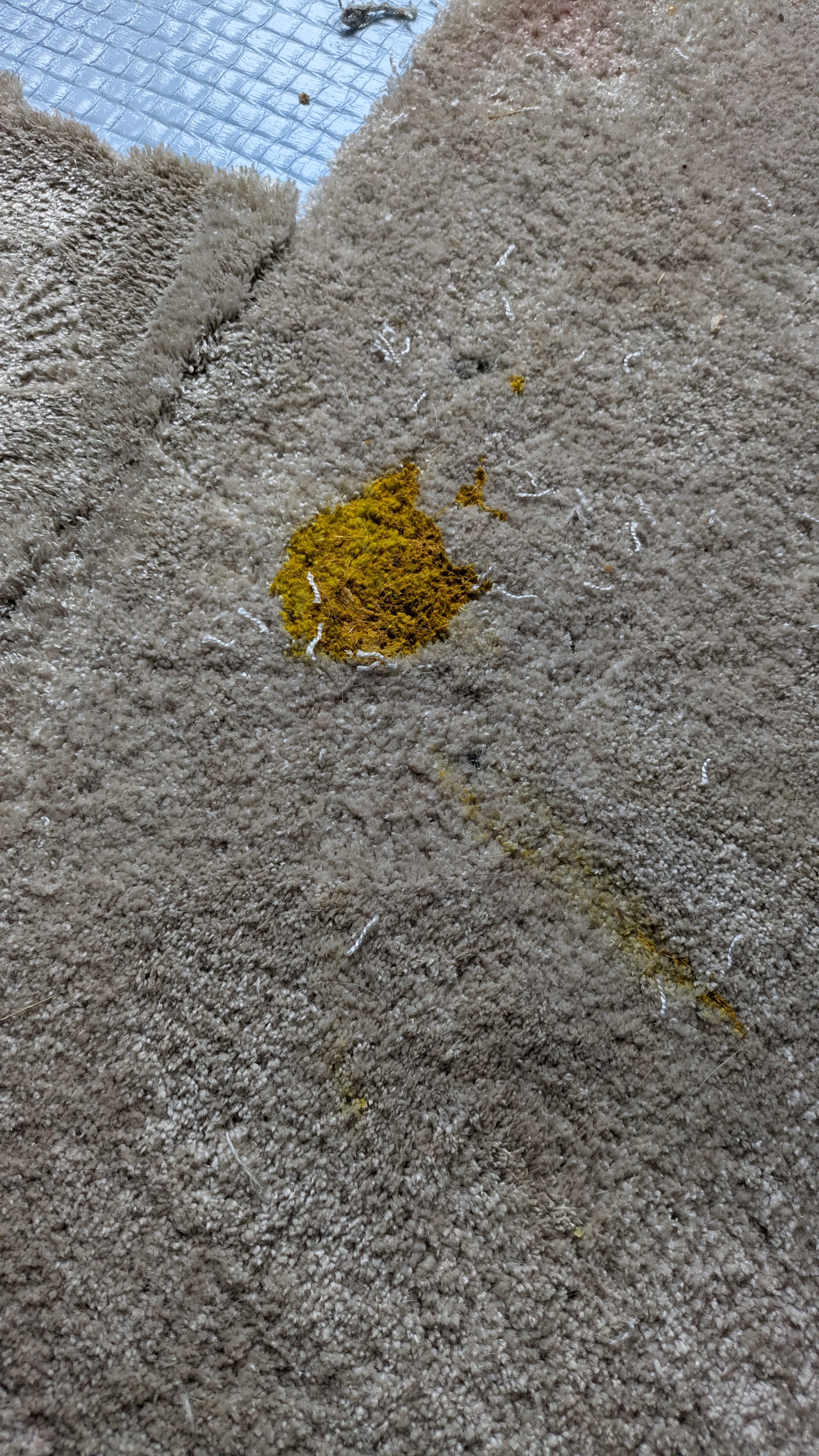 Carpet gonzo