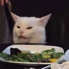 Smudge the cat