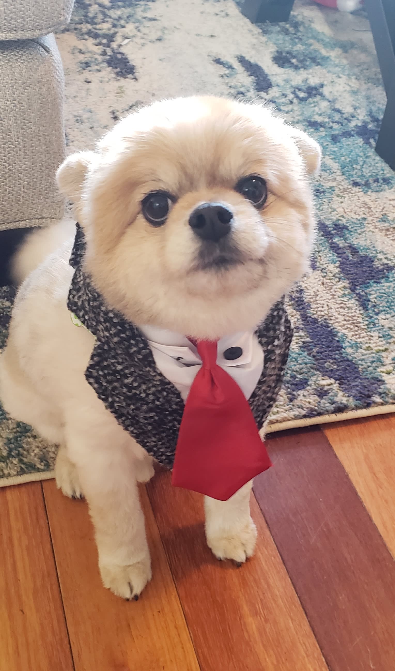 Sam says THANK YOU
