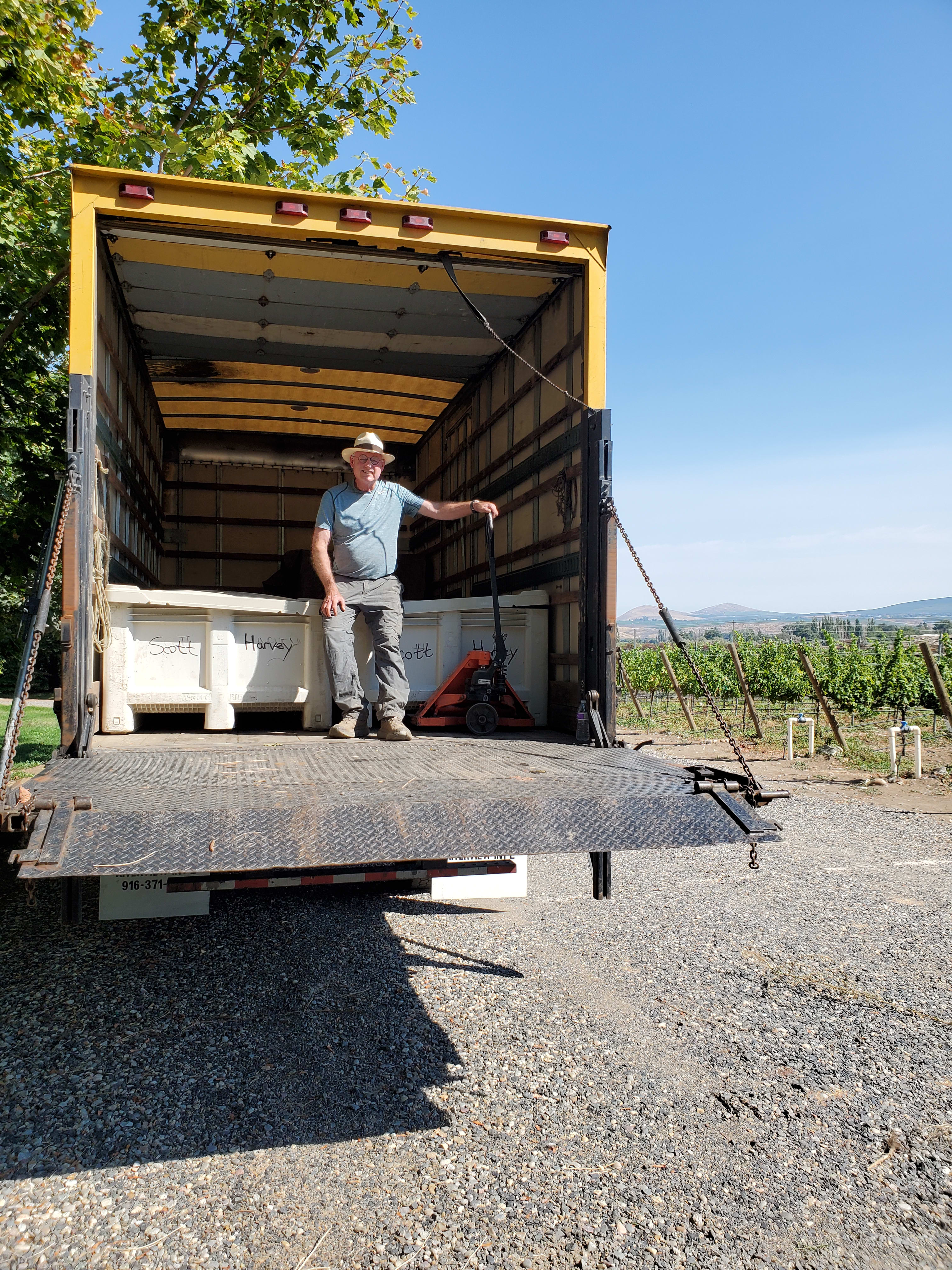Riesling Harvest