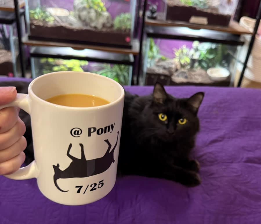 mmmcoffeeeee