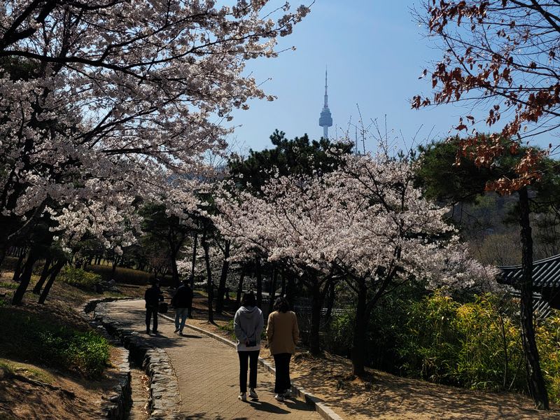 seoul