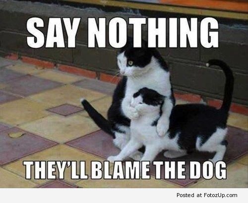 say nothing